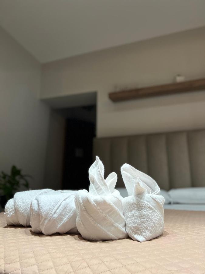 4Seasonsgea , Deluxe Studio , City Centre , טיראנה מראה חיצוני תמונה